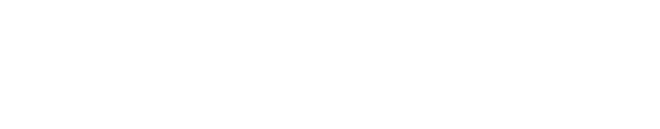 DwarkeshSoft